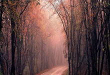 择吉择日：哪种情况必须要择日