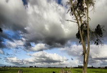 心梗，我该怎么办？