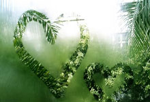 健康说明，人生健康八字中寻找