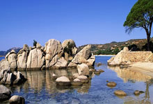 八字水火木金土看身体健康状况